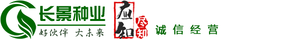 [長(zhǎng)景園林] 苗木批發(fā)基地-綠化公司-提供苗木報(bào)價(jià)-品種名稱(chēng)圖片查詢