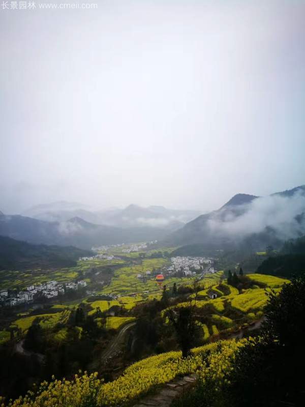 黃色花海油菜花田景觀(guān)鄉(xiāng)村旅游